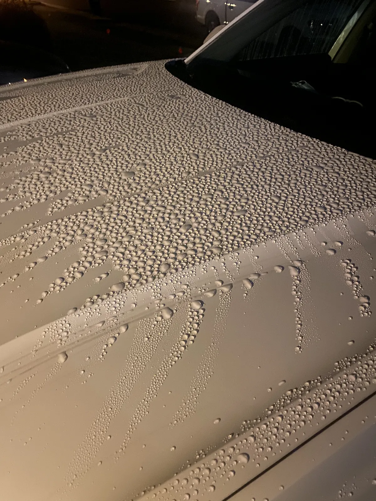Ceramic Coating — Water Beading Result